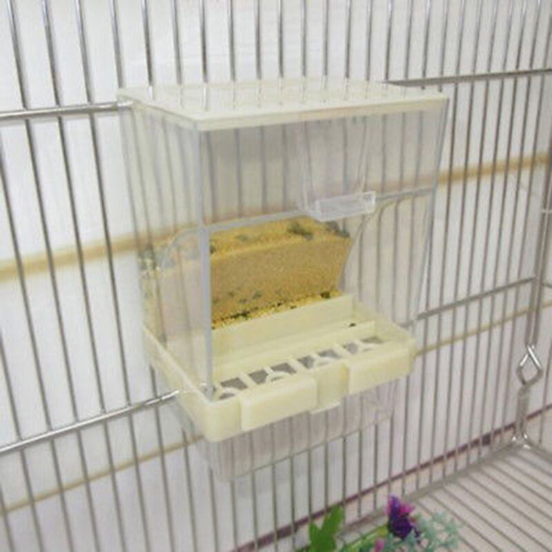 Small Size Parrot automatic feeder - Image 6