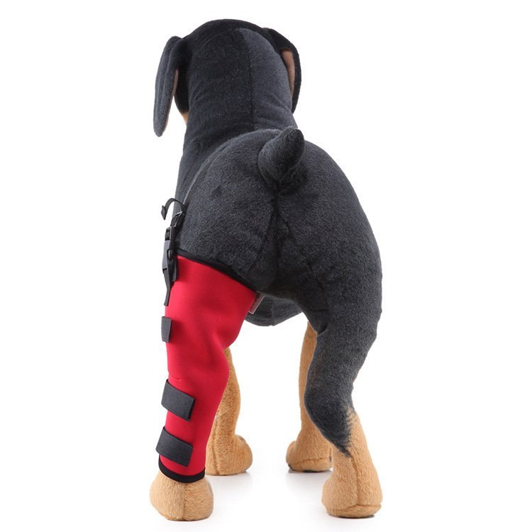 Leg rehabilitation foot support for pets - Image 6