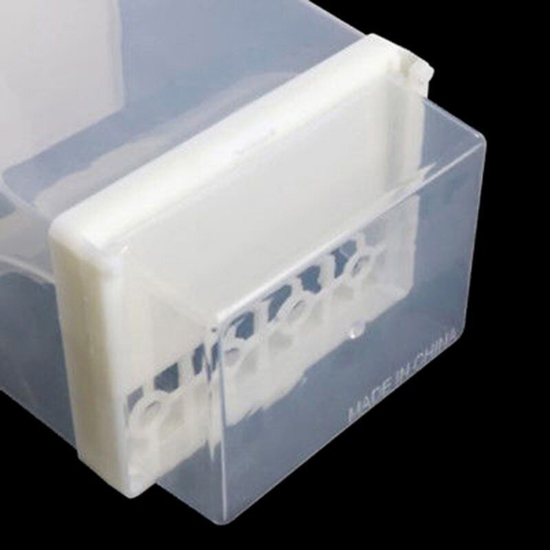 Small Size Parrot automatic feeder - Image 5