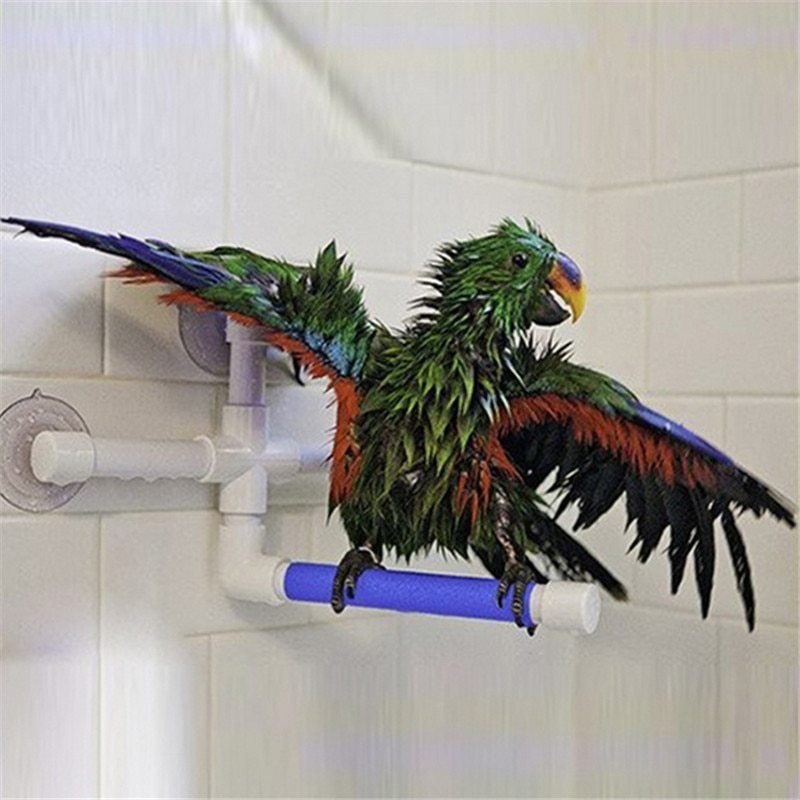 Parrot bath shower stand - Image 3