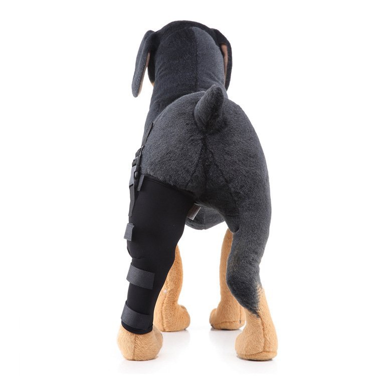 Leg rehabilitation foot support for pets - Image 2
