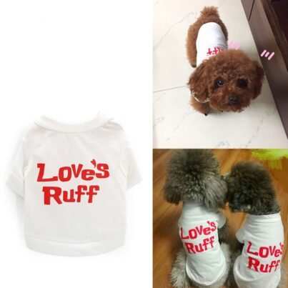 clothes for pets