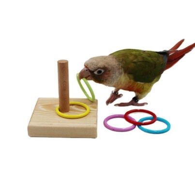 Wooden Plastic Ferrule Parrot Educational Toy