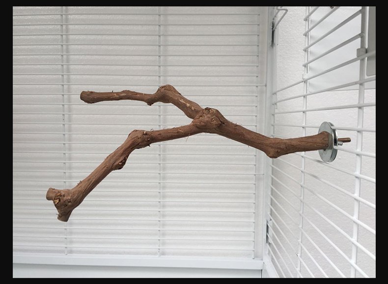 Add a stand pole to the cage for parrot birds - Image 4