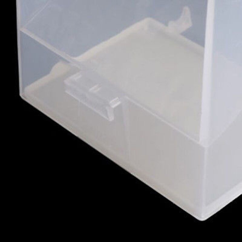 Small Size Parrot automatic feeder - Image 2