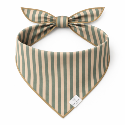 Sage Green Dog Bandana