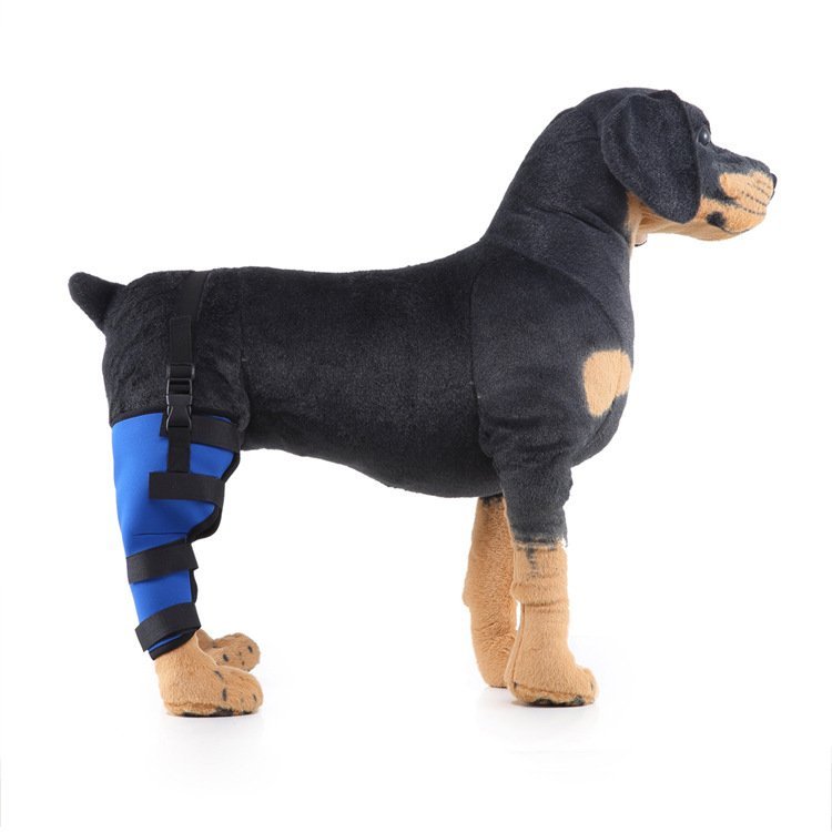 Leg rehabilitation foot support for pets - Image 10
