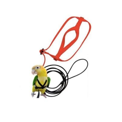 The parrot releases a harness