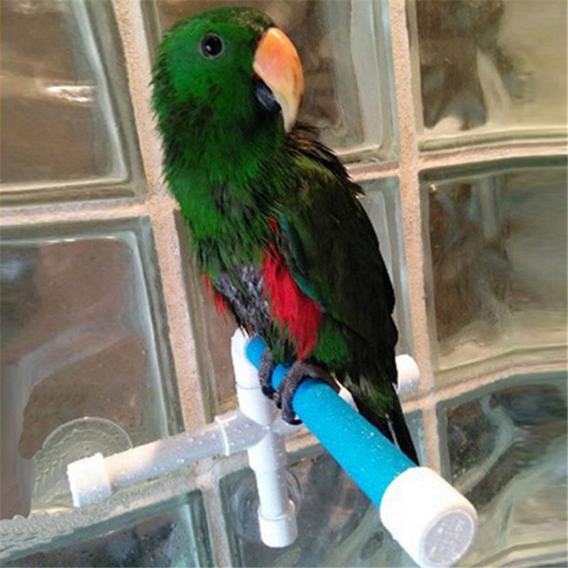 Parrot bath shower stand - Image 4