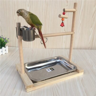 Household Small Portable Training Parrot Stand