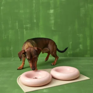 Pink ceramic dog feeder