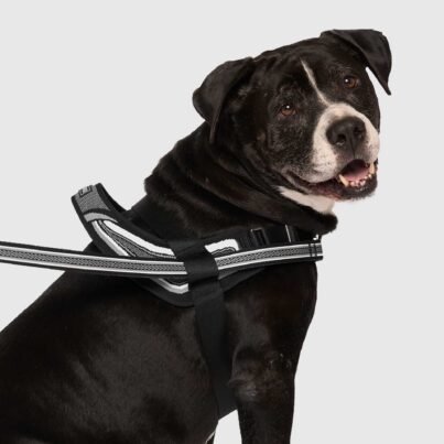 The Redirect Dog Harness