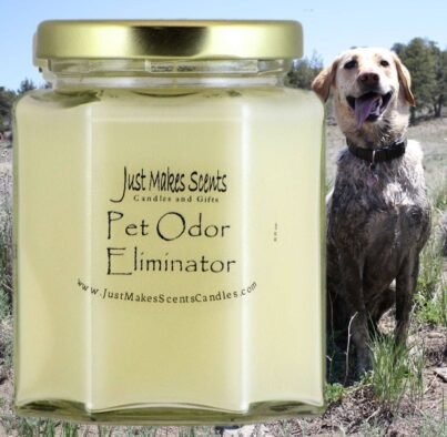 Pet Odor Eliminator Candles