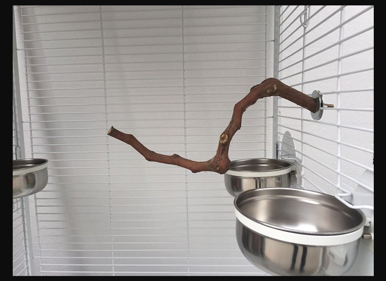 Add a stand pole to the cage for parrot birds - Image 3