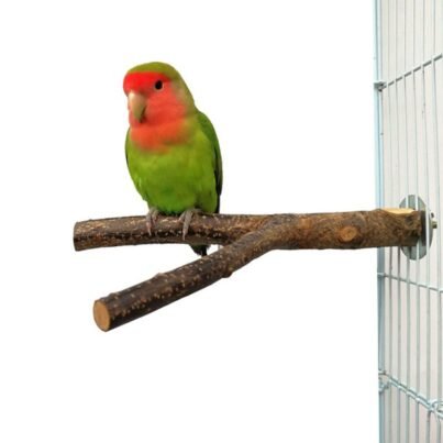Parrot Log Tree Branch Standing Pole