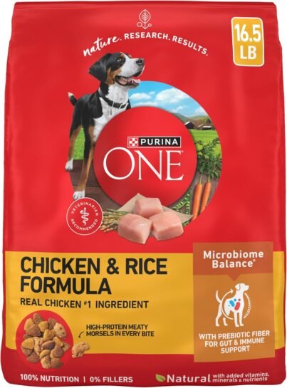 Purina: ONE Chicken & Rice Formula Dry Dog Food – High Protein, 16.5 lb