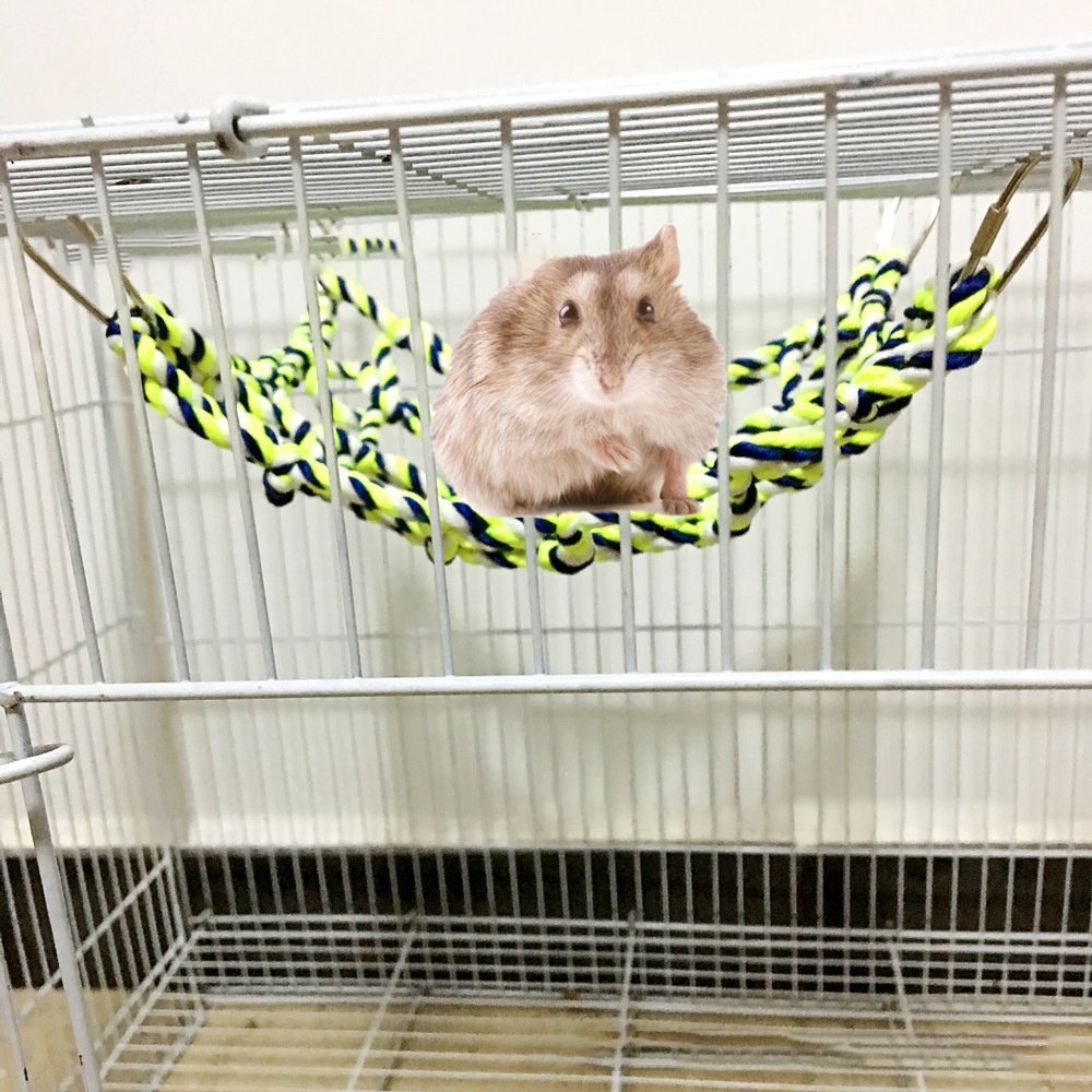 Parrot climbing net - Image 4