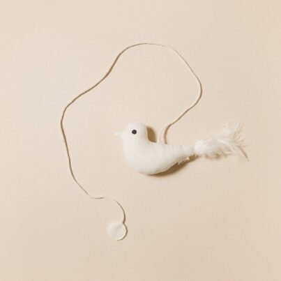 Cat Toy Birdie