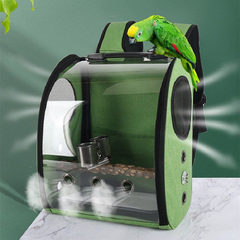 Outdoor Portable Bag Panoramic Transparent Parrot Outgoing Bag - Image 3