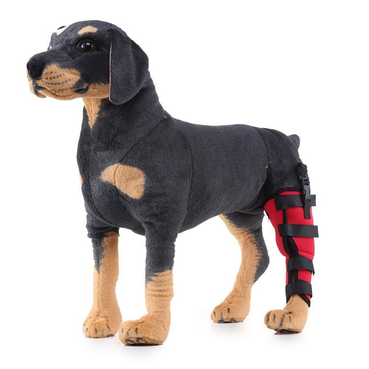 Leg rehabilitation foot support for pets - Image 4
