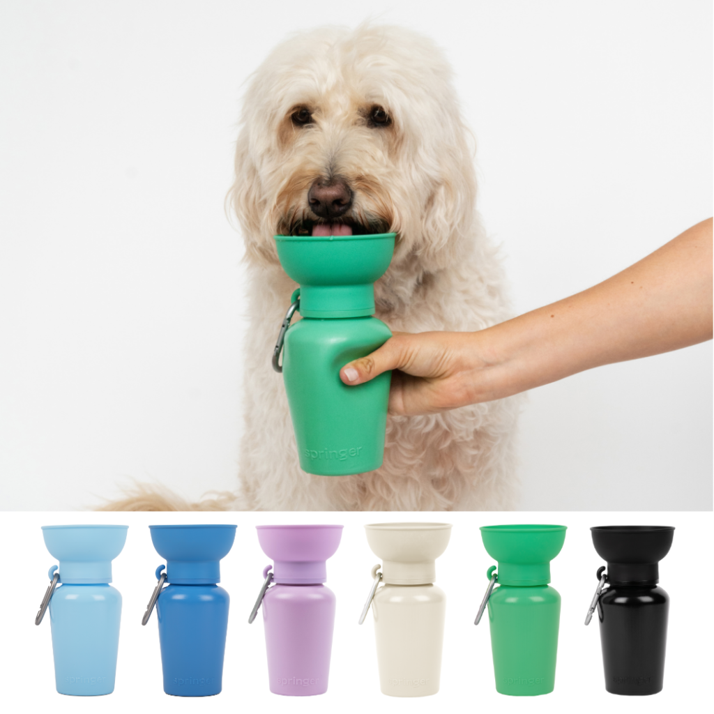 Dog Travel Water Bottle - 20oz Flip (12 Pack)