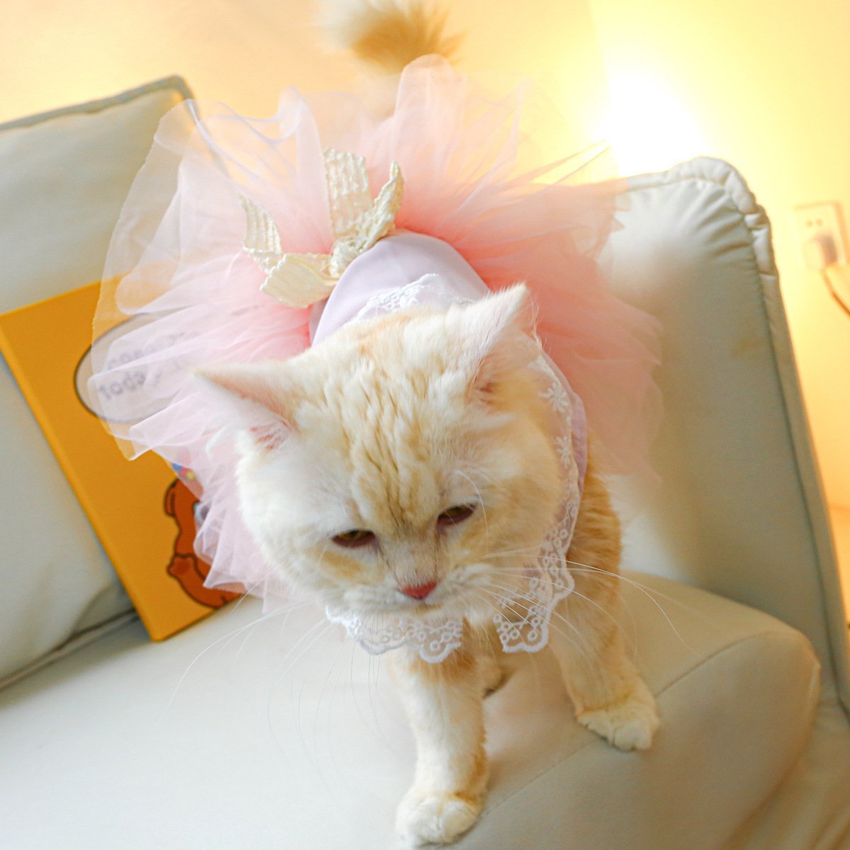 Pet Clothing Cat Clothes Lace Cat - Image 8