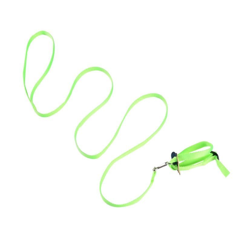 Bird parrot towing rope - Image 2