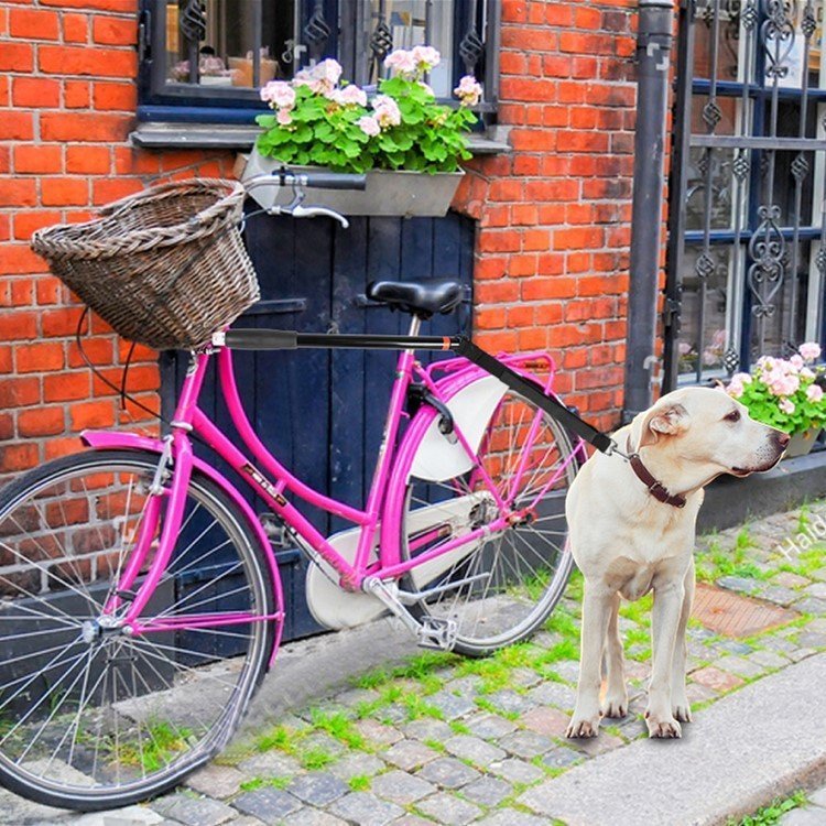 Bicycle Traction Dog Chain Detachable Dog Walker Dog Harness - Image 2
