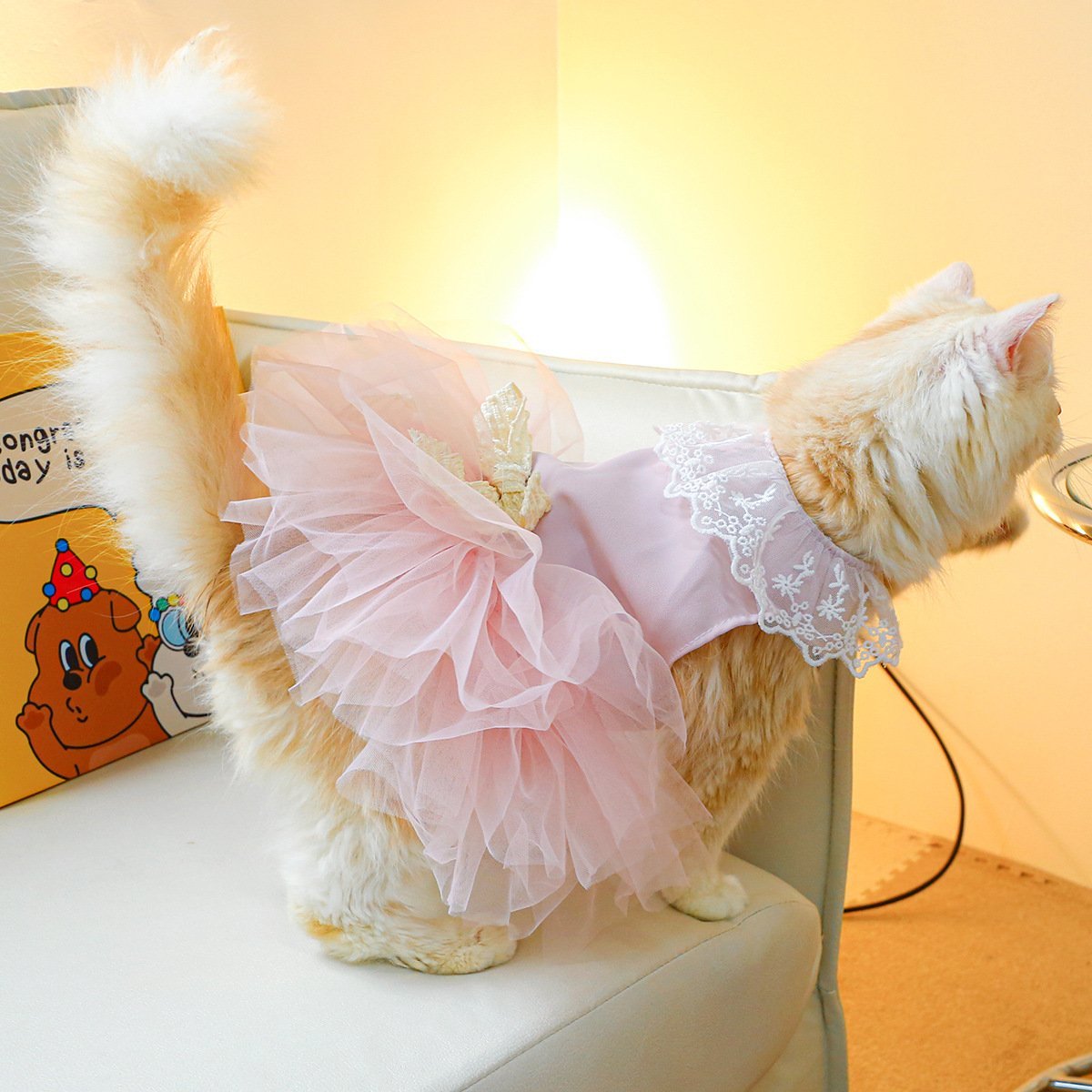 Pet Clothing Cat Clothes Lace Cat - Image 5