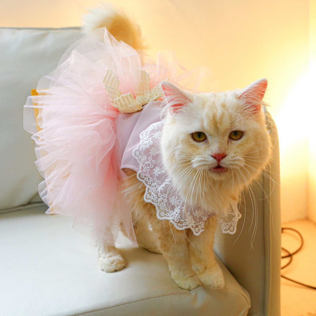 Pet Clothing Cat Clothes Lace Cat - Image 7