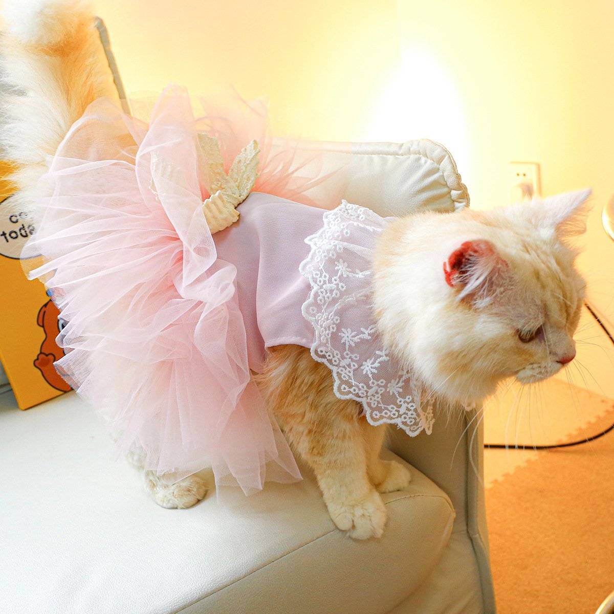 Pet Clothing Cat Clothes Lace Cat - Image 3