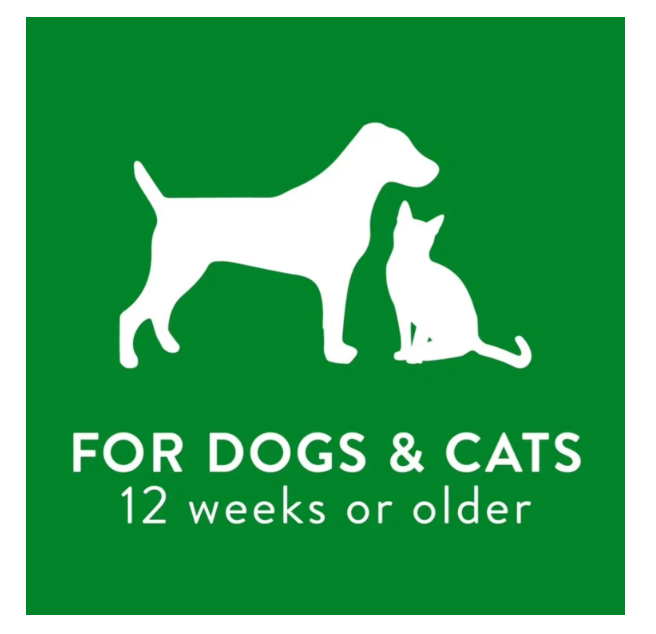 TROPICLEAN DEODORIZING PET SHAMPOO - Image 6