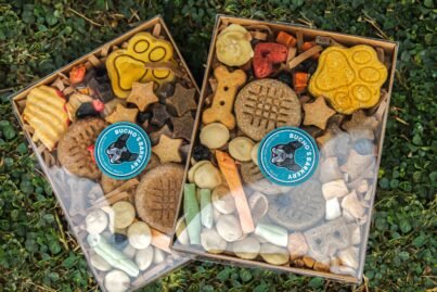 Barkuterie Box - Dog Treats